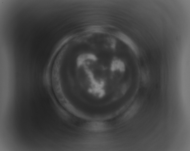 X0000101391090200807071152