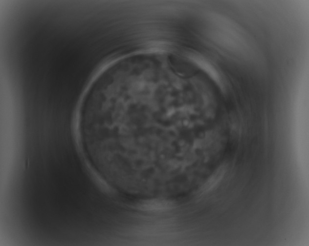 X0000101391091200807071152