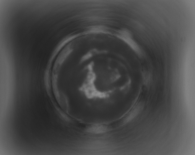X0000101391094200807071152