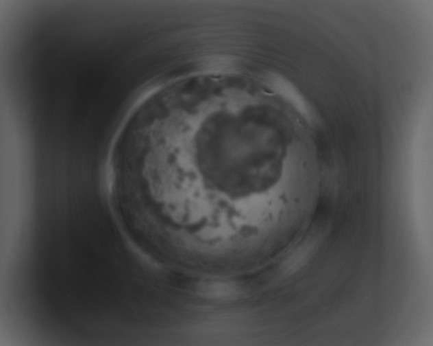 X0000101391095200807071152