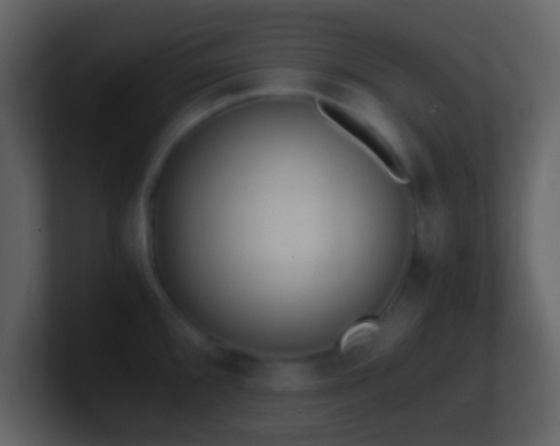X0000101391096200807071152