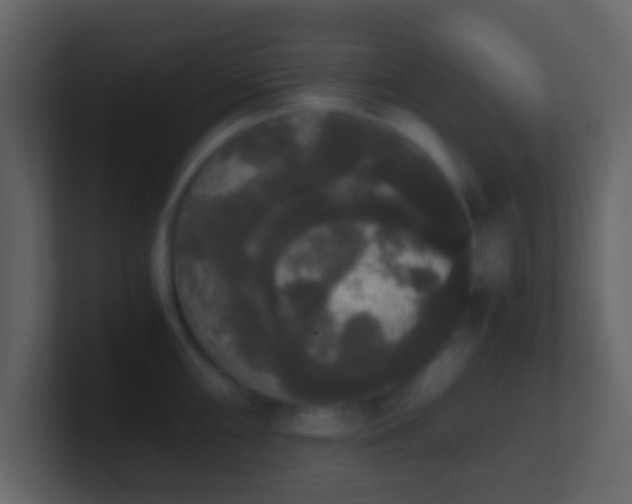 X0000101391098200807071152