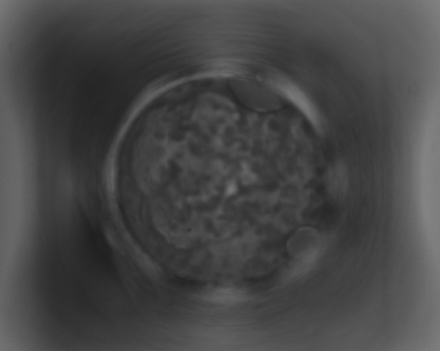 X0000101391099200807071152