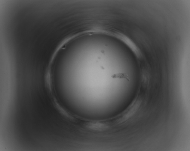 X0000101391100200807071152
