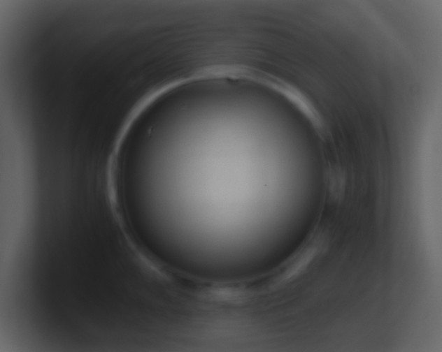 X0000101391102200807071152