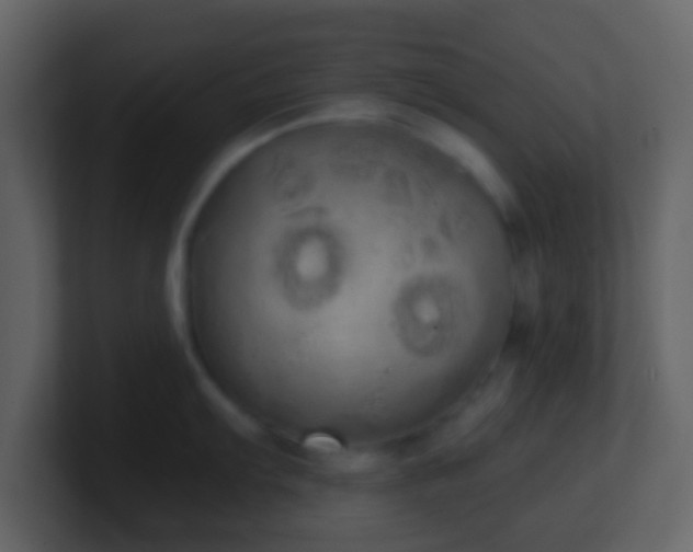 X0000101391103200807071152
