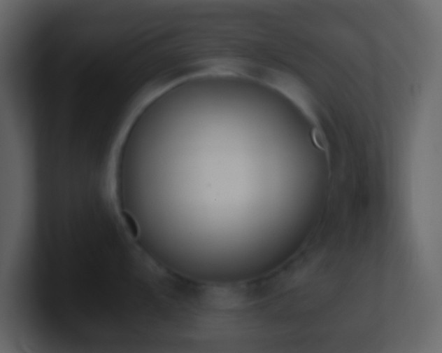 X0000101391104200807071152
