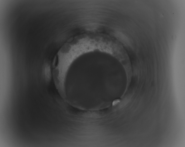 X0000101391106200807071151