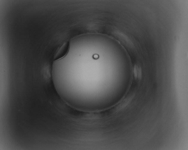 X0000101391107200807071151