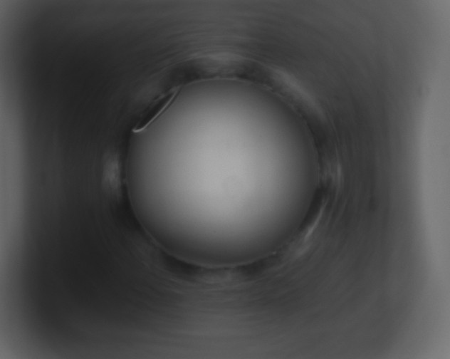 X0000101391108200807071151