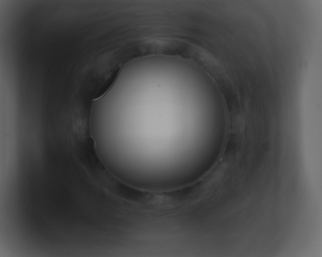 X0000101391109200807071151