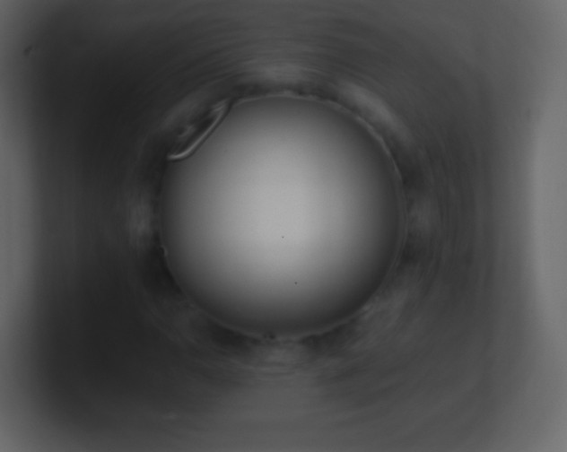 X0000101391110200807071151