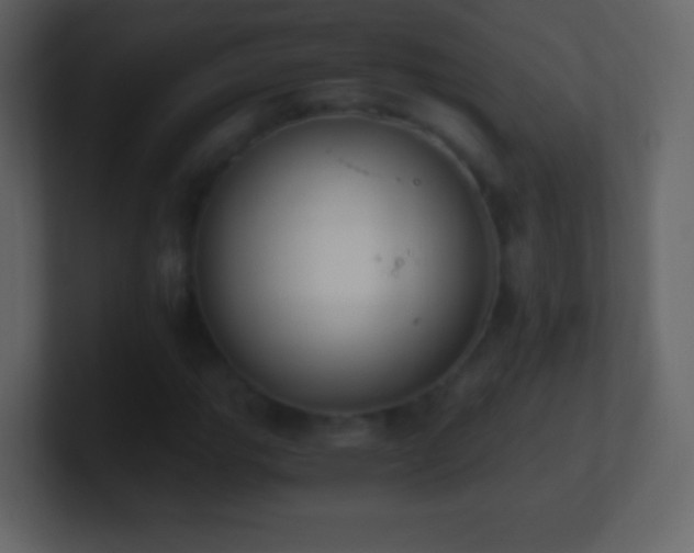 X0000101391111200807071151