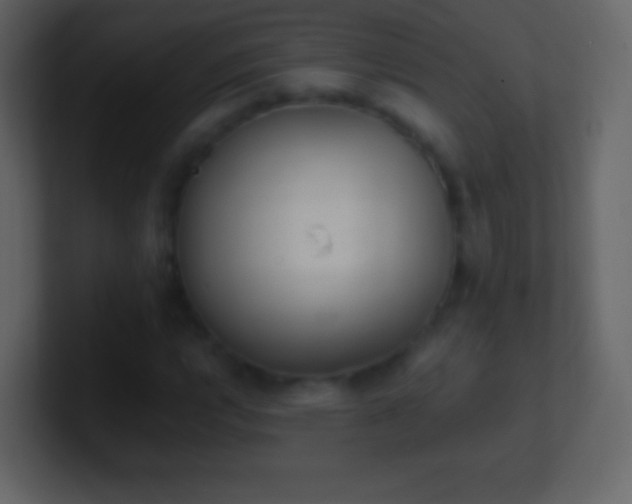 X0000101391112200807071151