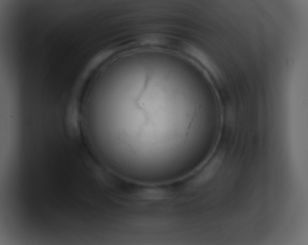 X0000101391115200807071151