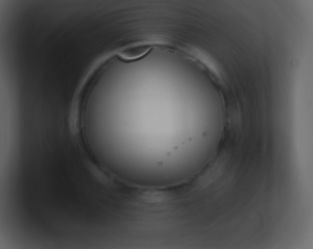 X0000101391116200807071151