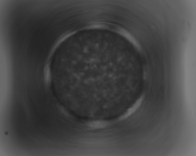 X0000101391117200807071151