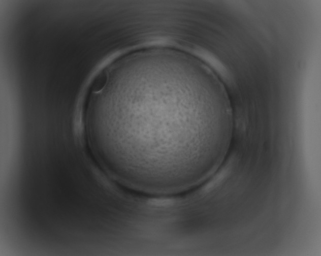 X0000101391118200807071151