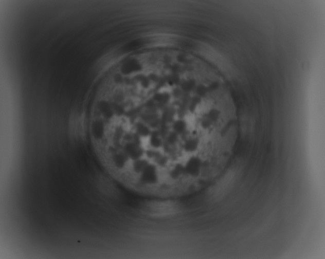 X0000101391121200807071151