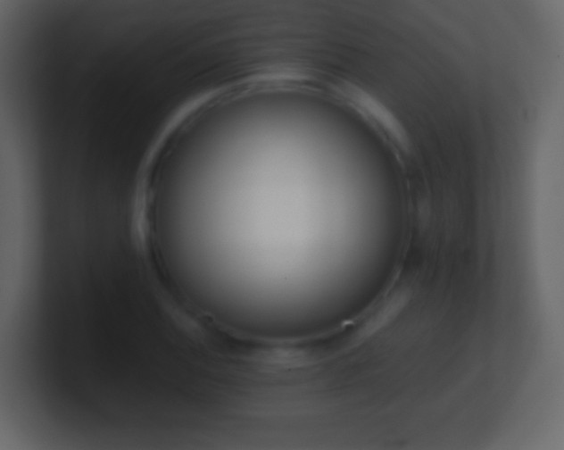 X0000101391124200807071151