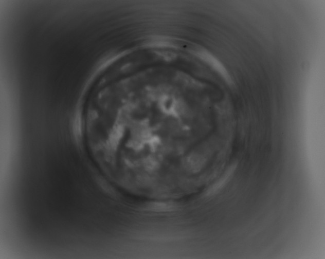 X0000101391125200807071151