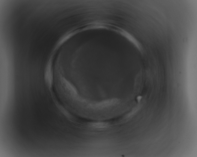 X0000101391127200807071151