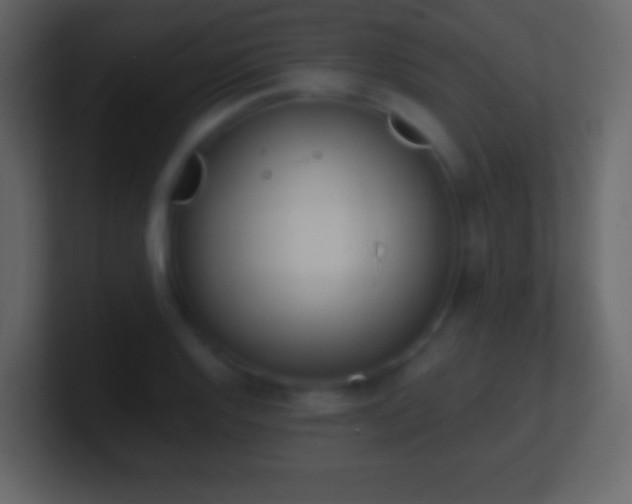 X0000101391128200807071151