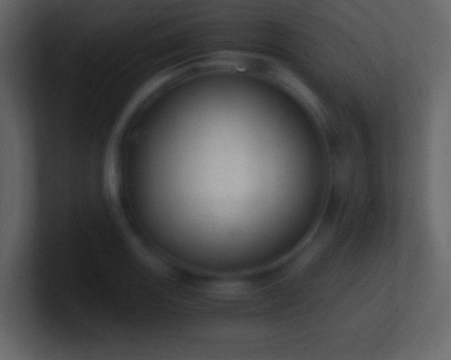 X0000101391131200807071152