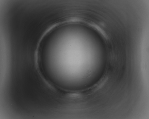 X0000101391134200807071152