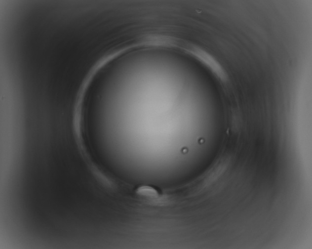X0000101391136200807071152