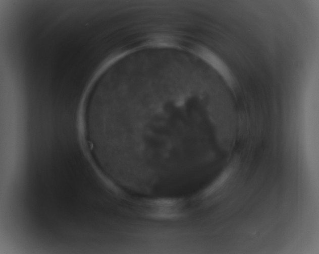X0000101391141200807071152
