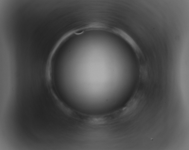 X0000101391148200807071152