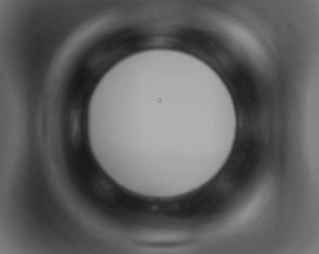 X0000101391150200807071152