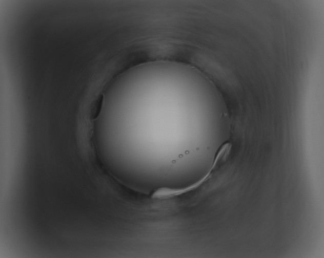 X0000101391153200807071151