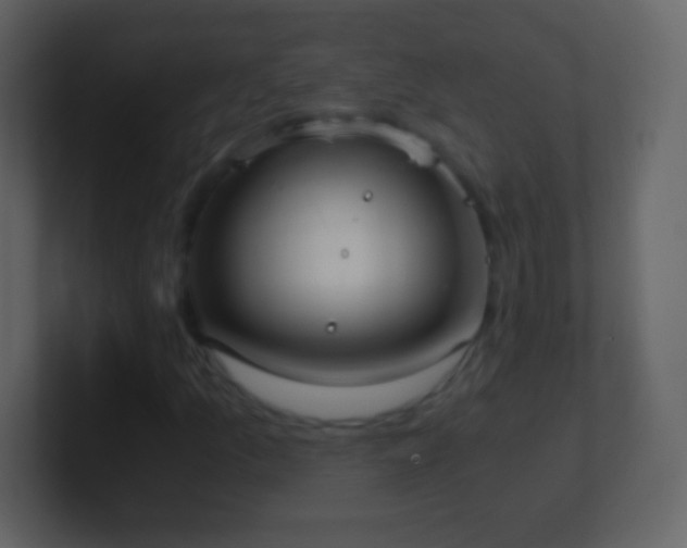 X0000101391157200807071151
