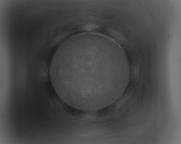 X0000101391158200807071151