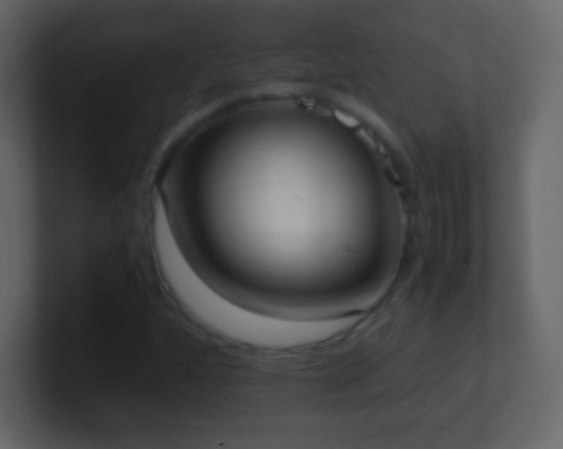 X0000101391160200807071151