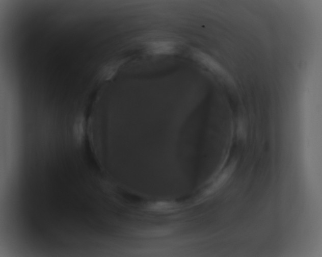 X0000101391161200807071151