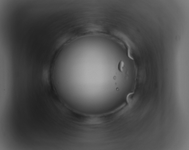 X0000101391162200807071151