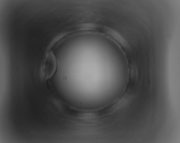 X0000101391164200807071151