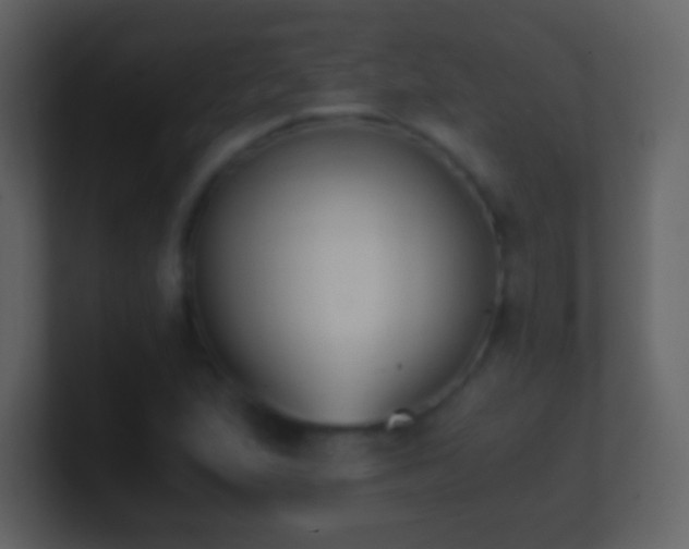 X0000101391167200807071151