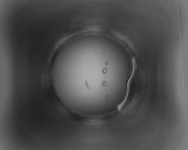 X0000101391168200807071151