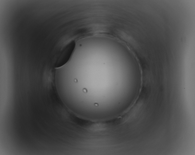 X0000101391169200807071151