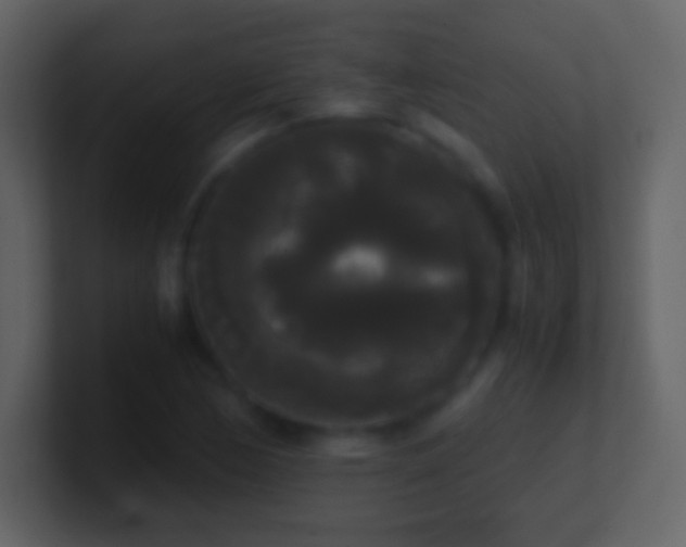 X0000101391170200807071151