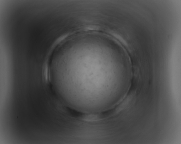 X0000101391171200807071151