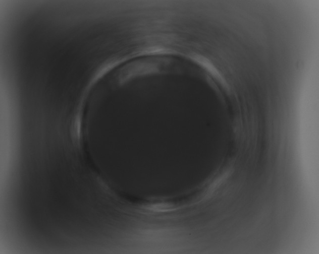 X0000101391173200807071151