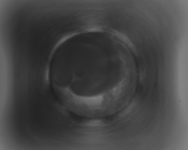 X0000101391174200807071151