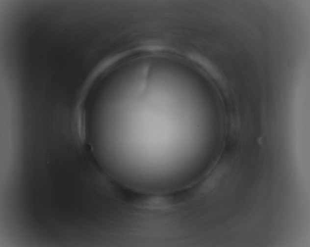 X0000101391175200807071151