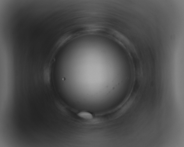 X0000101391177200807071151