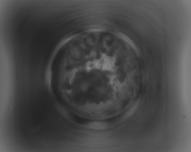 X0000101391179200807071151